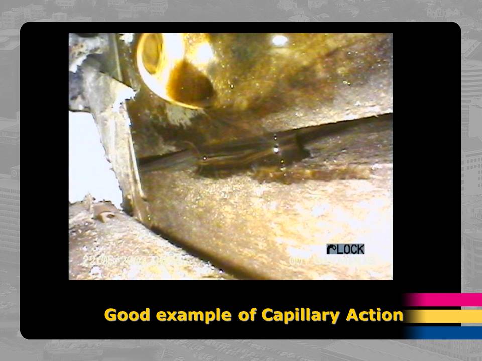 capillary action example